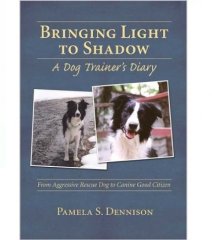 Bringing Light to Shadow von Pamela Dennison Bringing Light to Shadow von Pamela Dennison